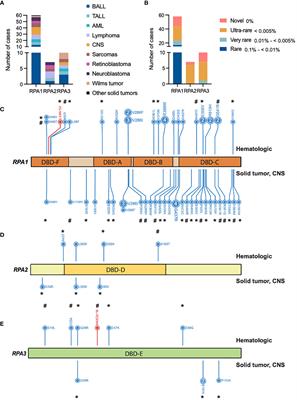 Germline landscape of RPA1, RPA2 and RPA3 variants in pediatric malignancies: identification of RPA1 as a novel cancer predisposition candidate gene
